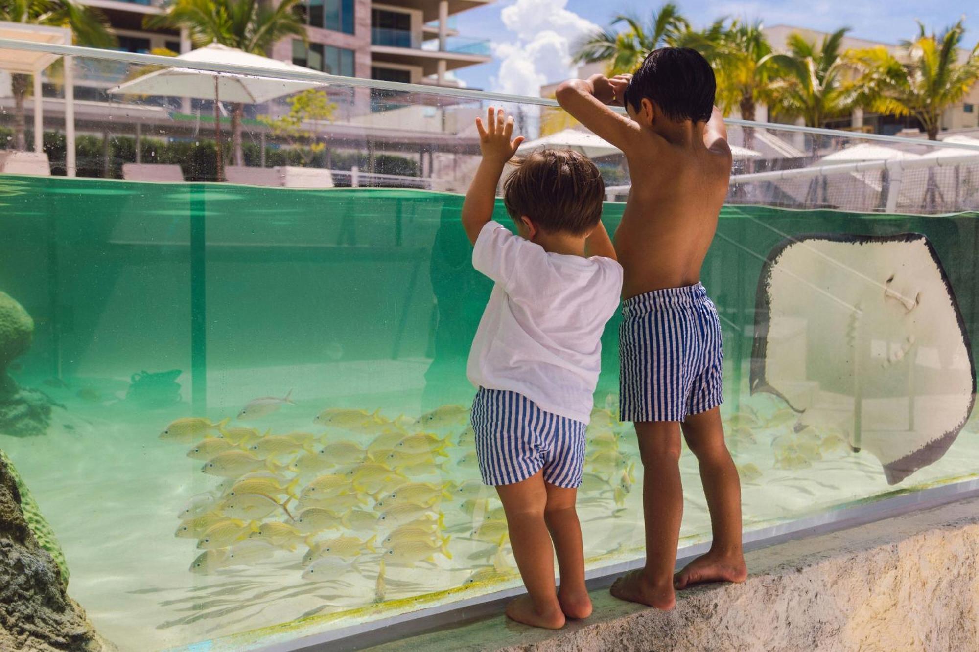 The St Regis Longboat Key Resort المظهر الخارجي الصورة